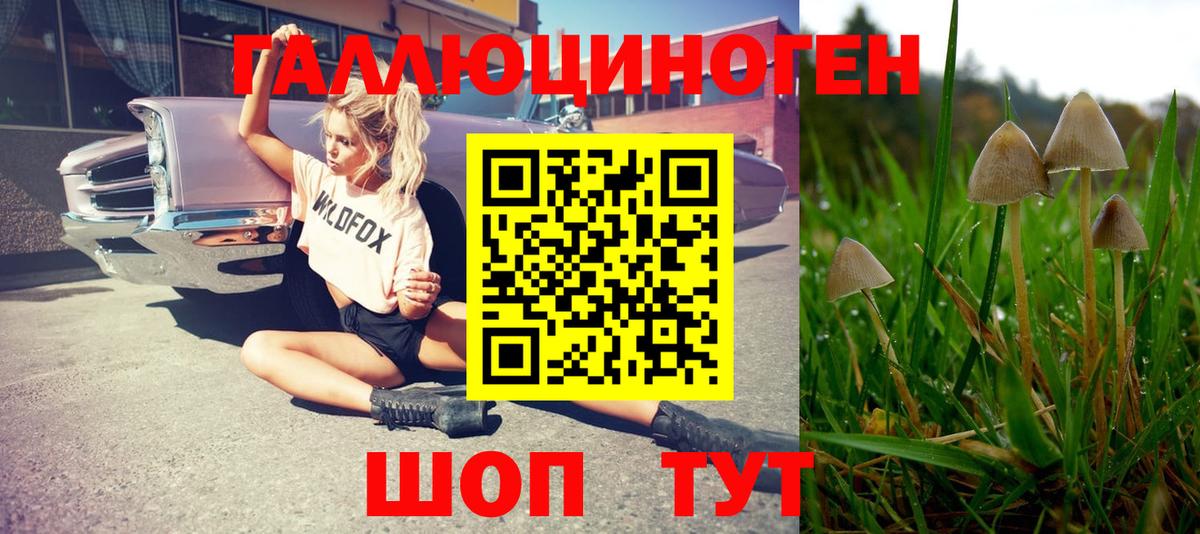 Галлюциногенные грибы Magic Shrooms Куйбышев