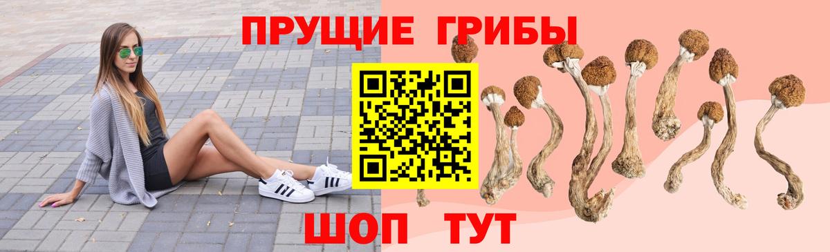 что такое   Галлюциногенные грибы Cubensis  Псилоцибиновые грибы MAGIC MUSHROOMS  Вход с VPN  Куйбышев 